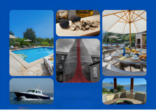 The SWV Christmas Auction is now LIVE!